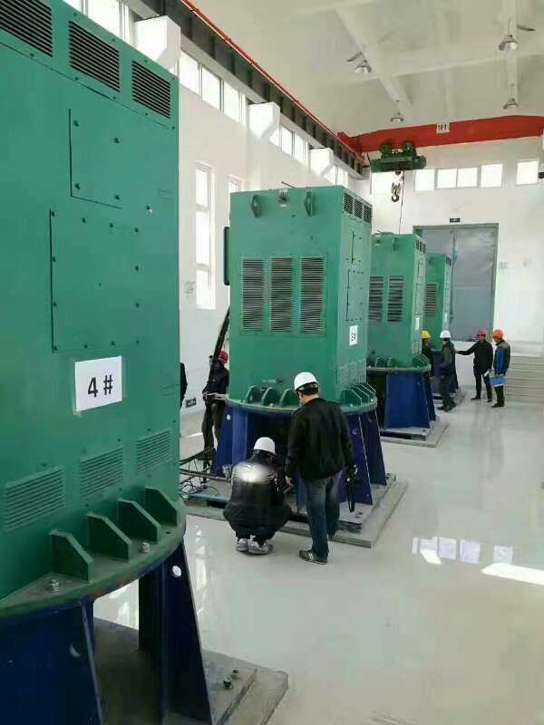 龙华山办事处某污水处理厂使用我厂的立式高压电机安装现场